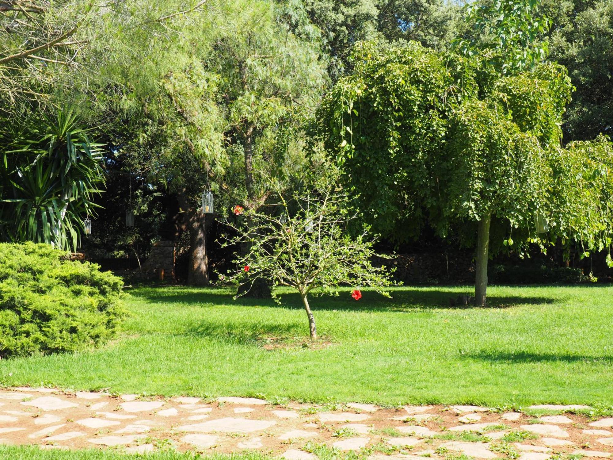 Suite Garden View