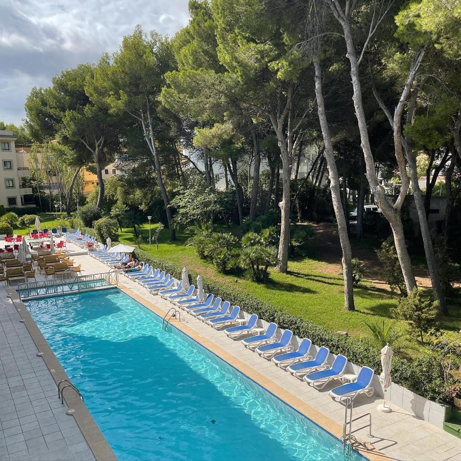 Superior Pool View,1774571655:JPEG