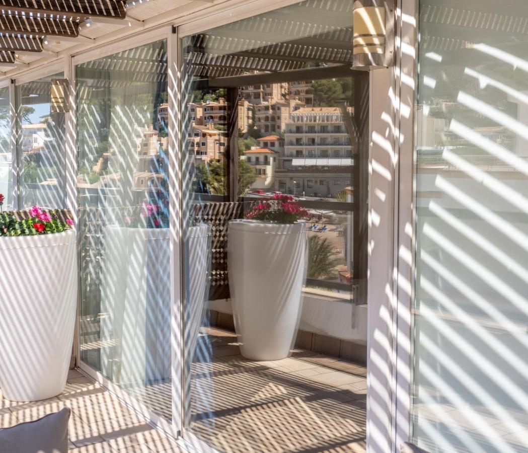 Suite Terrace