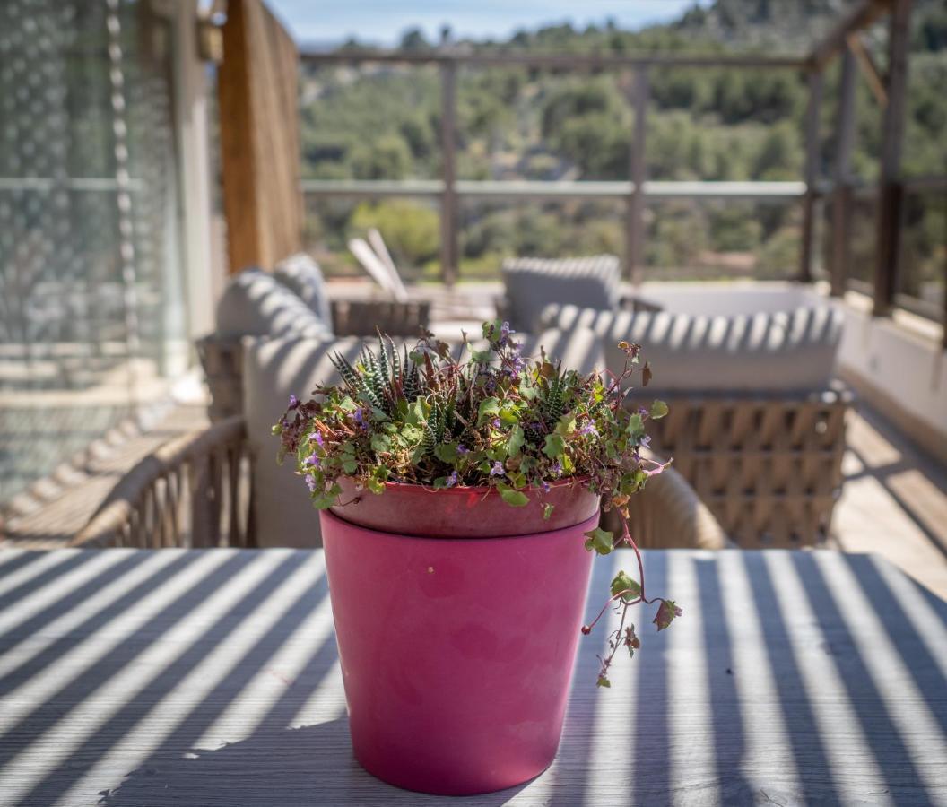 Suite Terrace