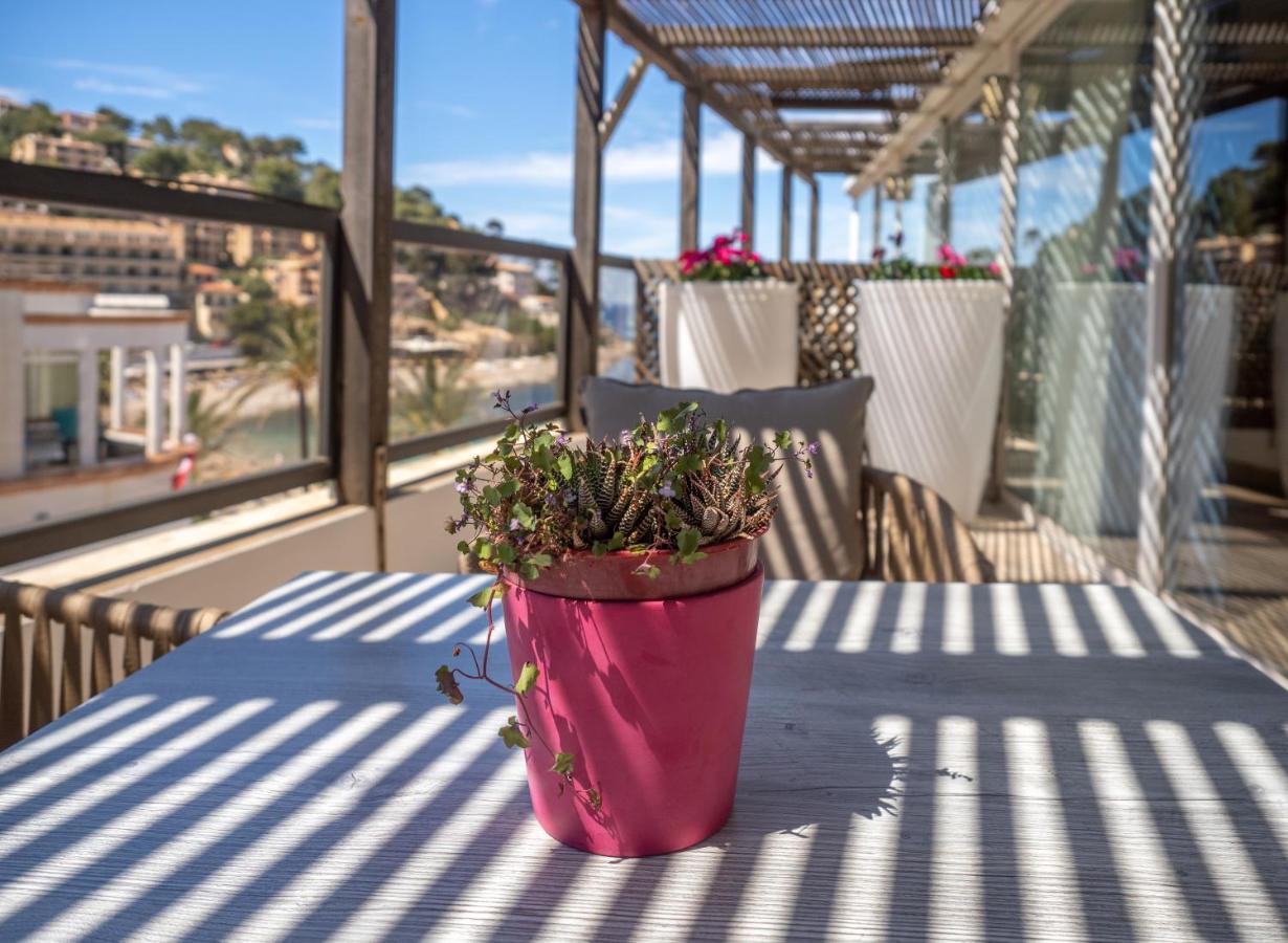 Suite Terrace