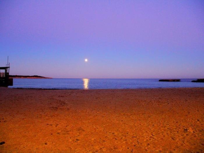 Two-Bedroom Apartment,1549798495:JPEG