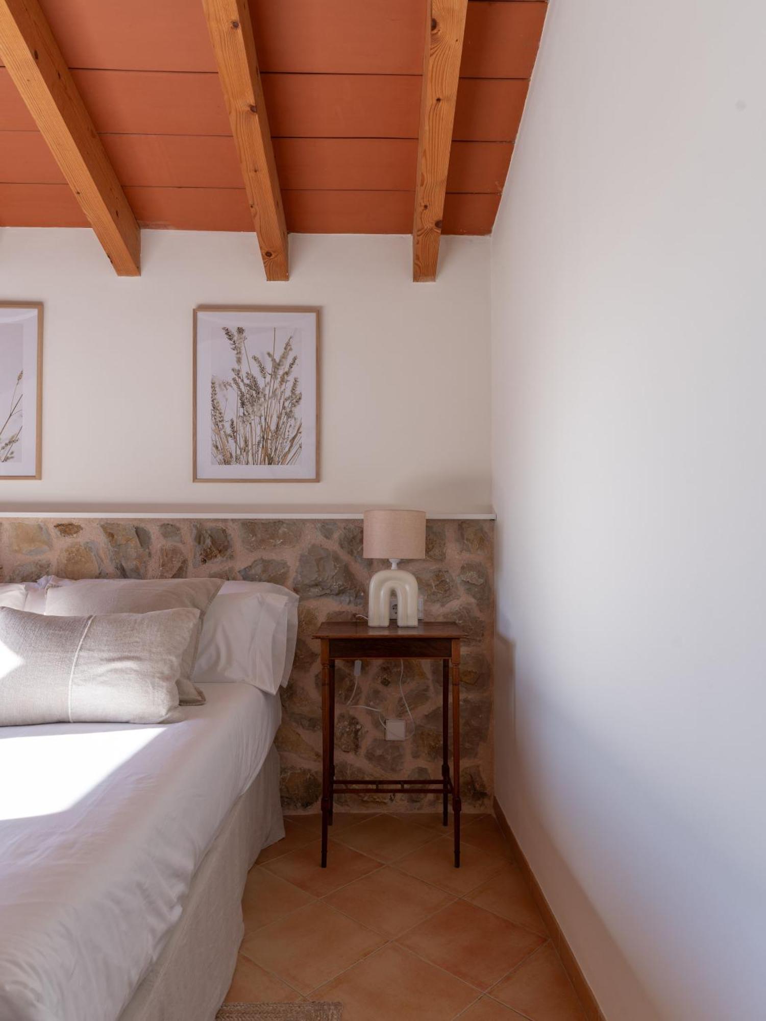 Superior Double or Twin Room Mountain View