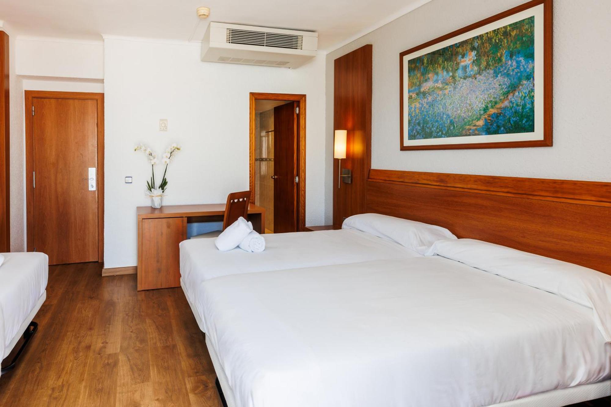 Large Double or Twin Room