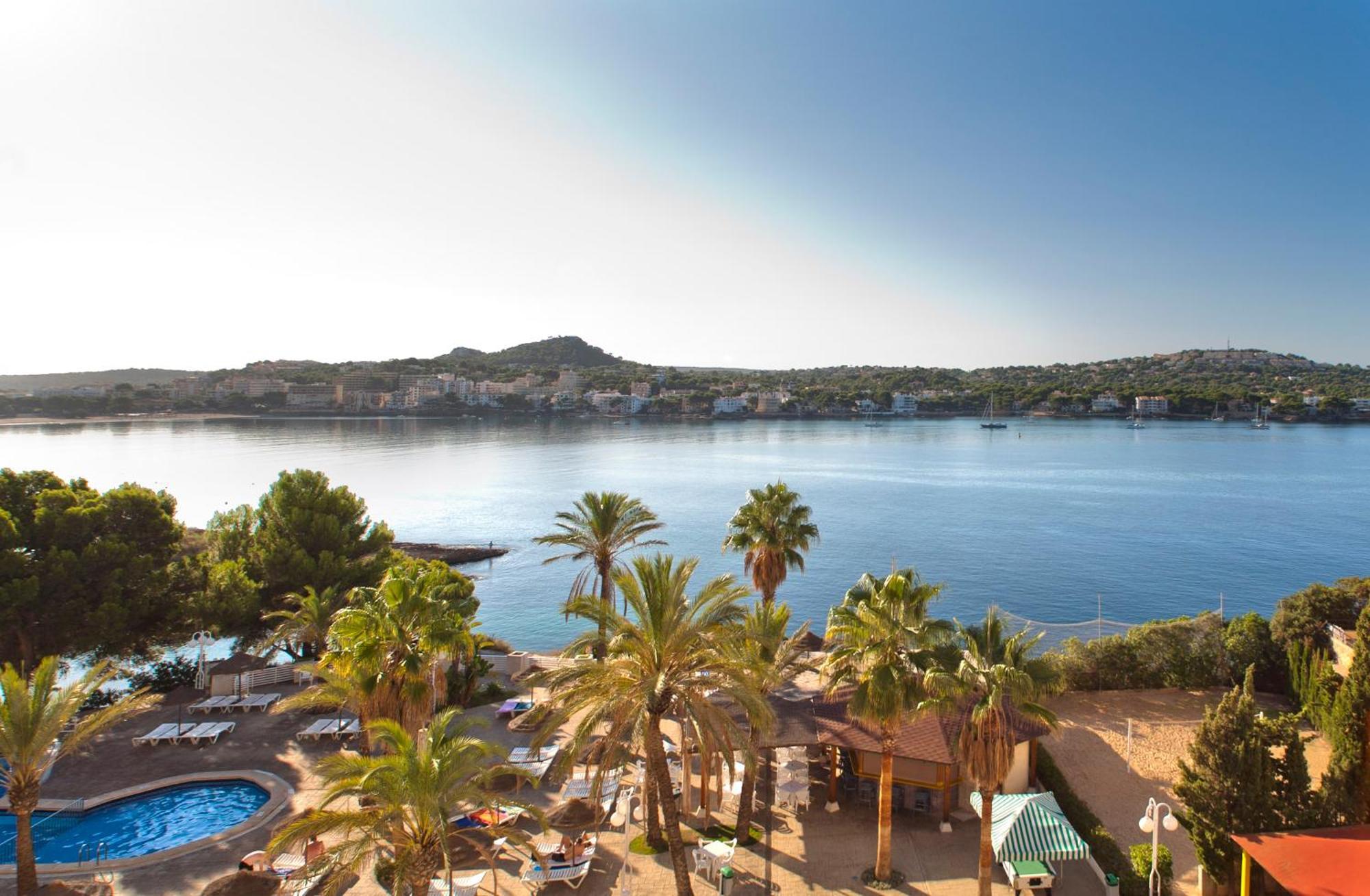 One-Bedroom Apartment with Sea View (3 Adults),238476669:JPEG