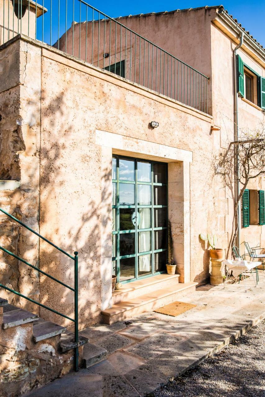 Studio with Terrace,784405386:JPEG