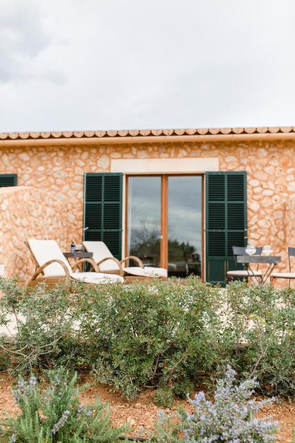 Suite Terrace