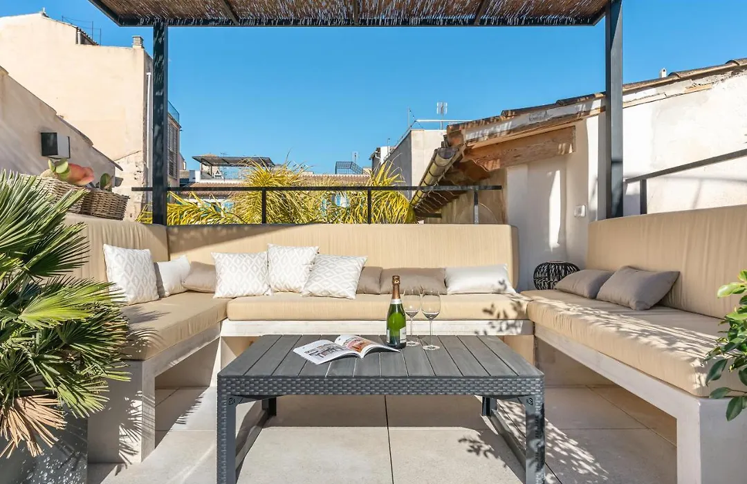Designer Gem With Terrace In Prime Location-1