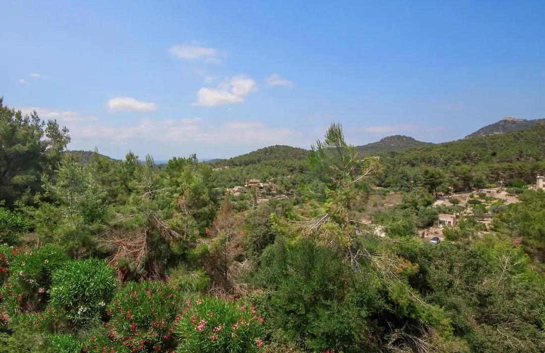 Finca Sa Fuente-1