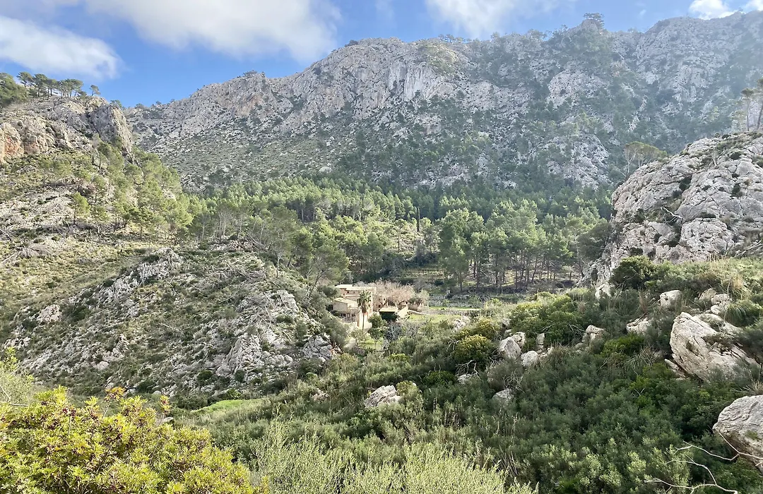 Finca Ses Fontanelles-1