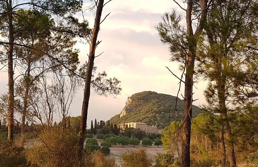Finca Sa Bastida Luxury Retreat & Spa Adults Only - Over 12-1