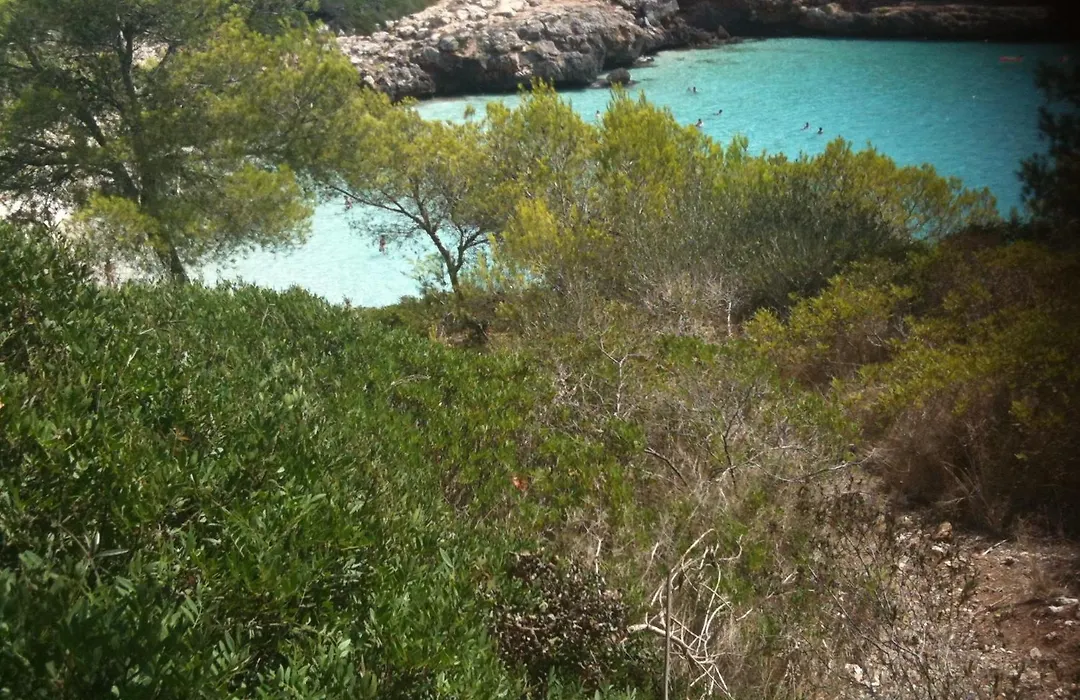 Finca Son Blat-1