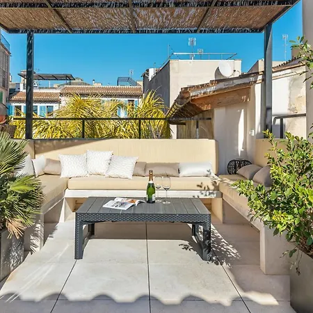 Designer Gem With Terrace In Prime Location-3