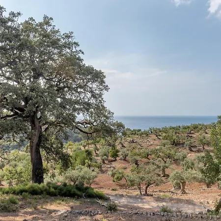 Deia Semi-Detached Sunny Country House, Near Gr221-3