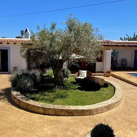 Villa Palmera-2