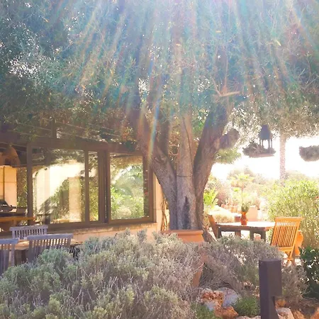 Finca Alqueria Fosca-3