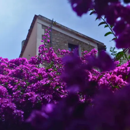 Hotel Casa Bougainvillea-3