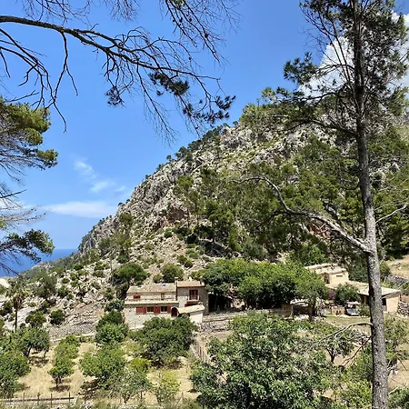 Finca Ses Fontanelles-3