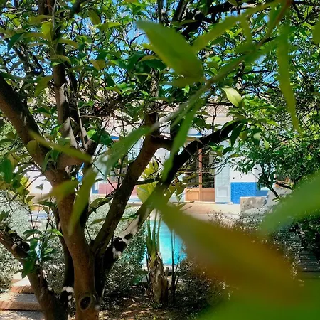 Villa Palma - Establiments by PriorityVillas-2