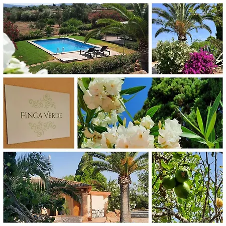 Finca Verde-3