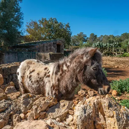 Finca Agroturismo Sa Cova Den Borino-3