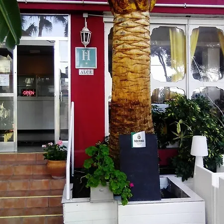 Hostal Alce-3
