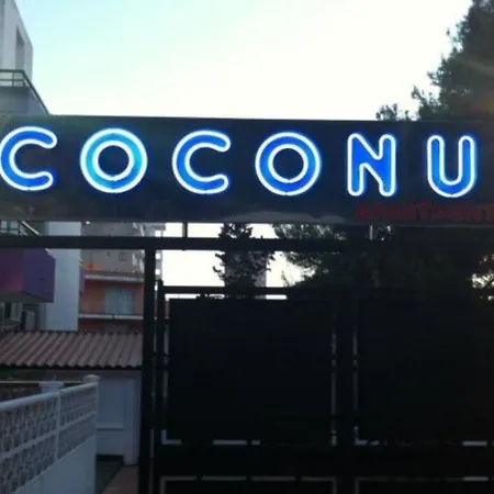 Coconut Studios-3