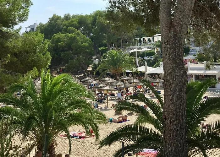Huisdiervriedelijke Casa Cala D'Or Appartement