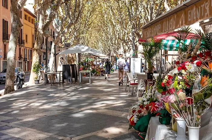 Rambla Palma Center Hotel