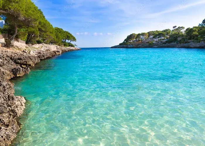 Huisdiervriedelijke Vallibre Apartments Cala D´Or