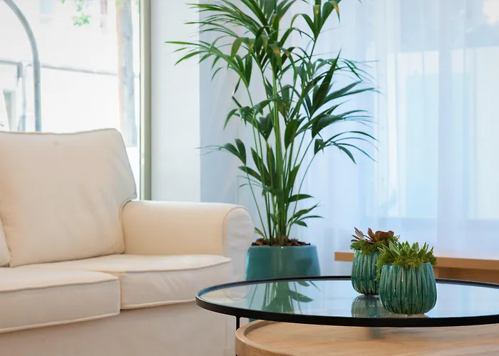 Pet friendly Hotel Seasun Aniram Playa de Palma 