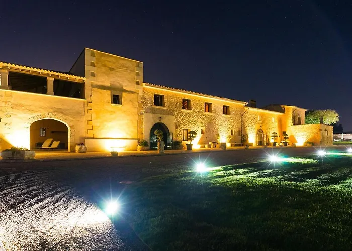 Hotels in Cala Pi (Mallorca)