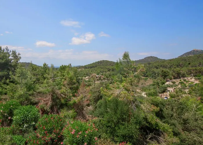 Finca Sa Fuente Fenalitx 