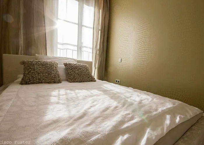 Pet friendly Design Suites Palma