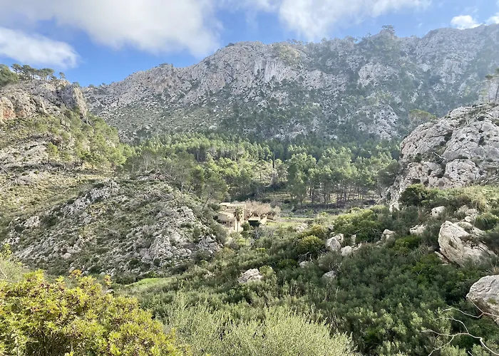 Finca Ses Fontanelles Andratx 