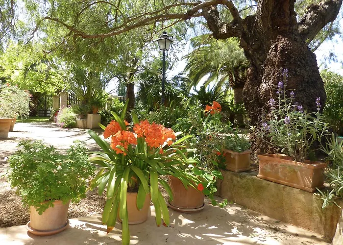 Finca Raims Algaida 