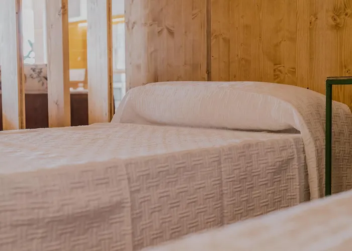 Huisdiervriedelijke Moll Petit Apartments - Turismo De Interior Can Picafort 