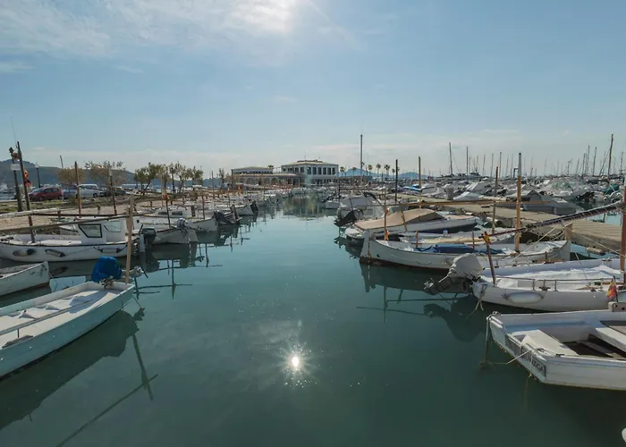 Apartamentos Habitat Port de Pollença acceptant les animaux