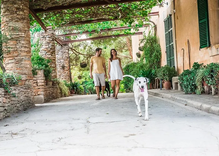 Pet friendly Finca Rural Son Amer Manacor 