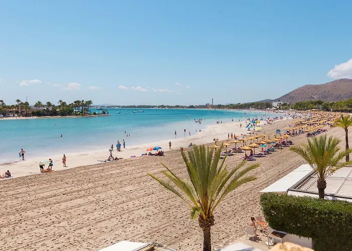 Haustierfreundliches Ferienwohnung Apartamento Valent Port d'Alcúdia